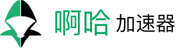 啊哈加速器 Logo